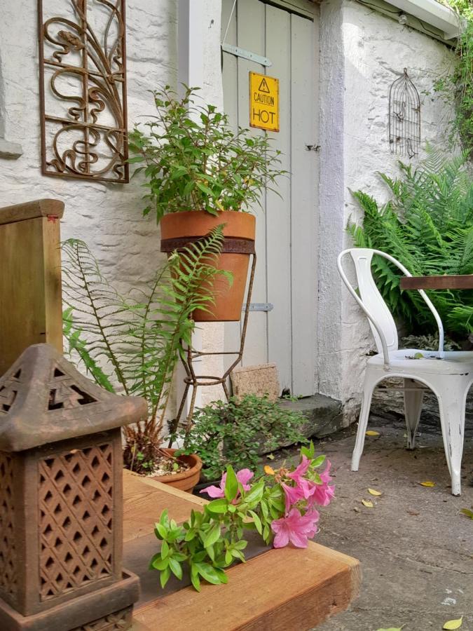 شقة The Artist'S Retreat Calstock المظهر الخارجي الصورة