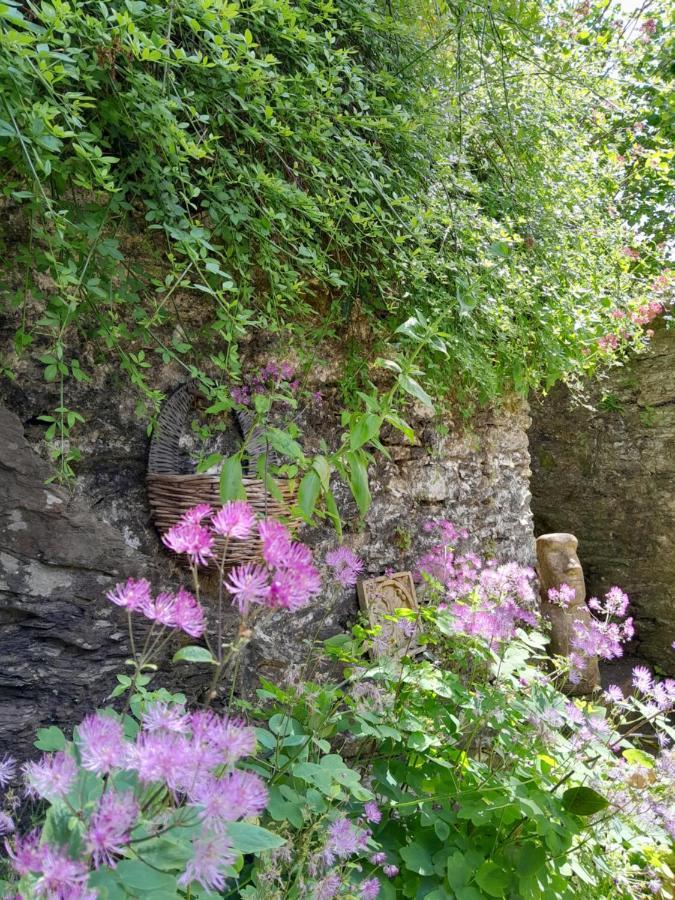 شقة The Artist'S Retreat Calstock المظهر الخارجي الصورة
