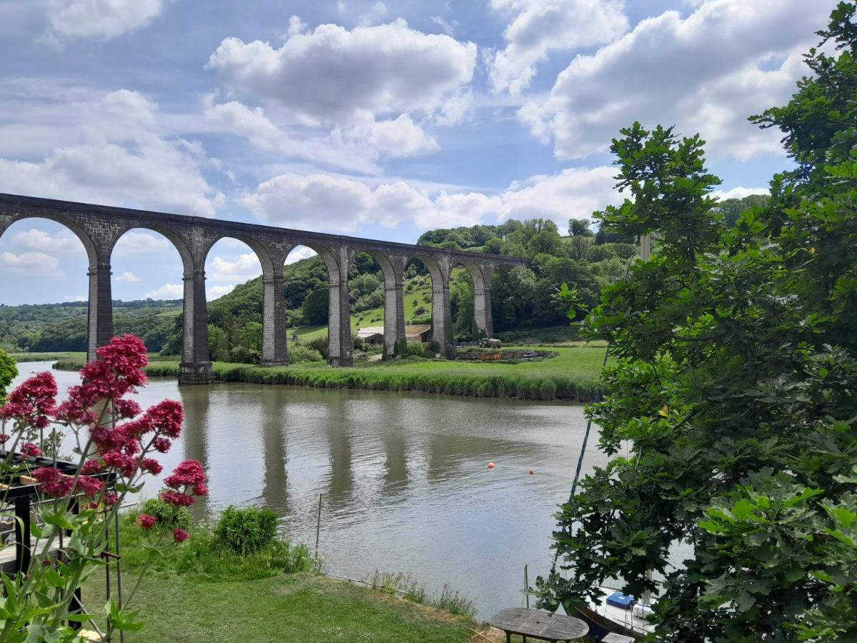 شقة The Artist'S Retreat Calstock المظهر الخارجي الصورة